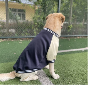 Fabrika toptan <span class=keywords><strong>2025</strong></span> yeni Modern köpek beyzbol üniforma Hoodies Polyester baskı kalın tarzı her mevsim için - Product Image 2