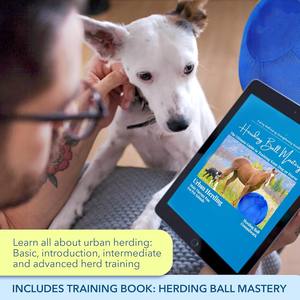 Vente en gros 18 "Collie Balls pour Australian Shepard Bétail Chiens Cheval Grand Entraînement Balle <span class=keywords><strong>Chien</strong></span> Troupeau Jouet Balle - Product Image 3