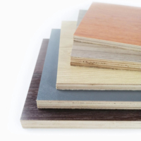 Para Capa Protectora de Película Fenólica Personalizada de 9-25 mm, Panel de Madera Contrachapada Recubierto de Película Directamente de Fábrica para Construcción Naval