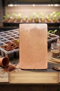 Bloque de Fibra de Coco 5kg 30 cm x 30 cm x 12 - 15 cm, Baja EC, Sustrato de Coco de Alta Calidad, Buena Retención de Agua, Ideal para Plantas y Jardines - Product Image 3