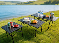 Table pliante moderne pour l'extérieur, tables pliantes pour le camping en plein air, pour les événements