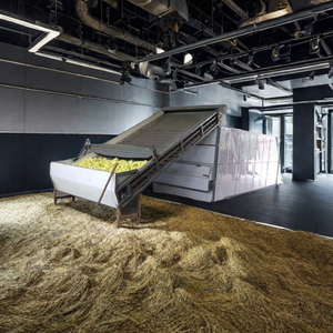 Attrezzatura automatica per l'essiccazione del coriandolo al <span class=keywords><strong>dragoncello</strong></span> alla camomilla Verbena al limone macchina per la cintura a maglie di foglie di erbe e gelsomino - Product Image 3