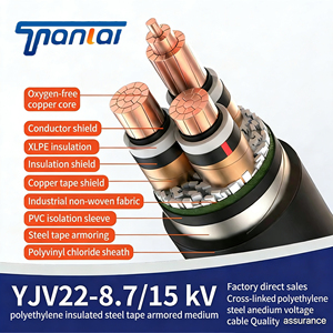 สายไฟฟ้าแรงสูง FY-YJV22 87/15kV ป้อง<span class=keywords><strong>กัน</strong></span>แมลง ป้อง<span class=keywords><strong>กัน</strong></span>ไฟลุก ทนไฟ แบบตีเกลียว 3 แกน ตัวนำอะลูมิเนียม หุ้มเหล็ก - Product Image 4