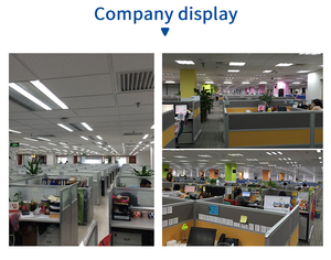 Low MOQ in cotone personalizzato morso di peluche per cani da masticare Designer di lusso <span class=keywords><strong>Pet</strong></span> stridule durevole per interni all'aperto in pile di sicurezza giocattolo per cuccioli - Product Image 5