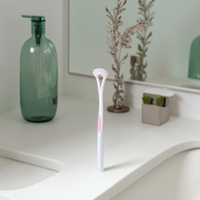 Nettoyeur de langue portable en silicone avec grattoir et brosse de nettoyage pour le traitement de l'halitose