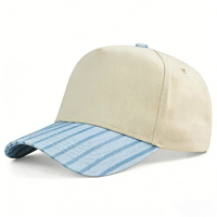 Gorra de Béisbol HBA54 Personalizada con Bordado, Rayas, Puntos, Flores, Estilo Vintage, Cierre a Presión, Dos Tonos, Algodón