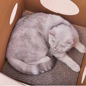 Katzenkratzbrett Kartonboxen Katzennest Milchkarton Katzenhaus - Product Image 3