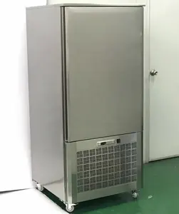 Komersial Kecil Blast Freezer Cepat Freezer Shock Pembekuan dengan-40C