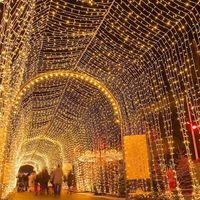 220V 50m Mehrfarbige LED-Lichterkette Farbwechselnde Weihnachts-Feenlichter Warmweiß 600H für Außenanwendungen