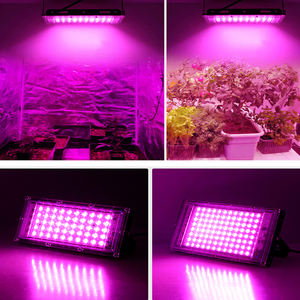 הנמכרים ביותר משומשים חממה לגדול אורות למכירה ספקטרום מלא הידרופוניקה עמיד למים צמיחה הוביל מנורה עבור צמחים אור - Product Image 3