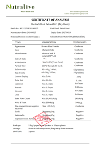 Raiz De Bardana Natural Extract10-1 Arctium Lappa L.ISO Fabricante Halal - Product Image 2