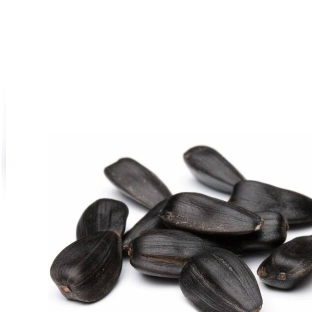 Как выглядит семечка подсолнуха. Подсолнечное семечки. Как выглядит семечка подсолнуха. Как выглядит семечка подсолнуха. Семена подсолнуха.