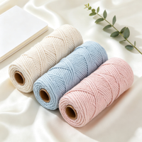 Cordon en coton tressé Nano Macramé pour suspension murale de plantes, artisanat DIY, tricot, crochet, sac, accessoires de décoration intérieure