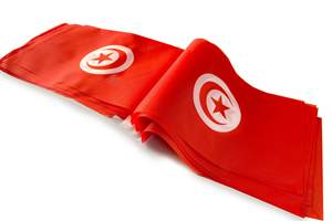 Guirnalda de Banderines con la Bandera de Túnez, Decoración para Fiestas, Bares, Clubes Deportivos, Impresión en Serigrafía de Poliéster, 2026 - Product Image 5