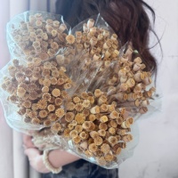 Coquelicots Séchés Teints de Qualité Supérieure en Gros pour Arrangements Floraux DIY, Décoration Intérieure, Mariages, Fête des Mères, Noël