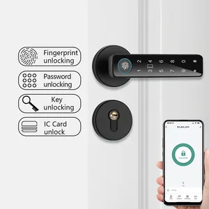 Tuya TT Lock WiFi App Serrure de porte intelligente Poignée de porte électronique à empreinte digitale Serrure numérique sans clé fendue