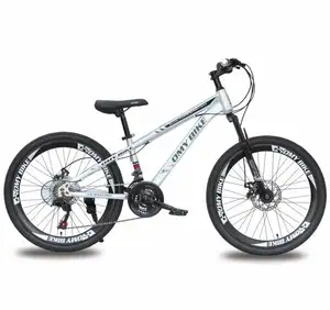 Peerless Bicycle 29 Inch 28 26 Full Suspension Men Down Hill Mtb Mountain Bike for Sale