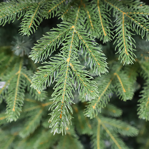 Decoración del hogar 6-8 pies verde militar árbol de Navidad con soporte para vacaciones de fábrica china - Product Image 3