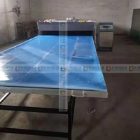 Machine de production de verre à stratifier automatique 2436 avec composants de noyau de moteur à économie d'énergie à 1 couche pour film Eva en verre feuilleté