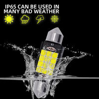 Lampe de lecture de voiture 3030 15Smd, éclairage de plaque d'immatriculation, ampoule LED pour l'intérieur de la voiture