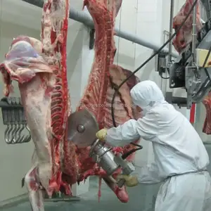 Attrezzatura automatica per la lavorazione del macello della carne del bestiame della mucca
