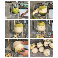 Mesin Pengupas Kelapa Tender Coconut Kapasitas 500 Buah Per Jam