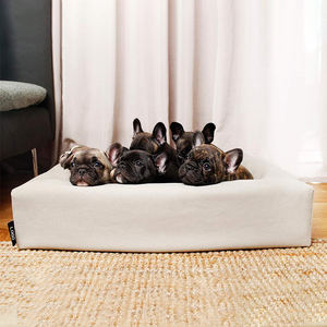 2024 Schlussverkauf! Hochdichtes Speicher-Schaumhundebett, elastisch und bequem, stellt sicher, dass Ihr Haustier eine gute Nacht schlafen bekommt! - Product Image 3