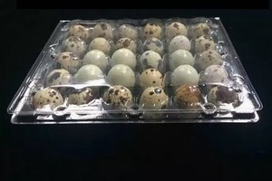 Nhựa khay trứng gà trứng chủ hộp tái sử dụng đóng gói Khay cho trứng gà - Product Image 5