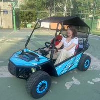 Karts de haute qualité, motos tout-terrain, karts tout-terrain, karts de neige, buggy des dunes, pour l'extérieur