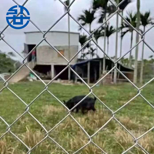 Clôture <span class=keywords><strong>de</strong></span> jardin en acier galvanisé à prix avantageux, revêtement PVC, écologique, anti-rongeurs / Clôture <span class=keywords><strong>de</strong></span> <span class=keywords><strong>chantier</strong></span> en treillis métallique - Product Image 4