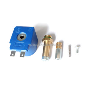 Комплект для ремонта редукционных катушек lpg Iso9001 AT09, комплект для преобразования lpg Cng GLP LPG, 1000 шт. в наличии - Product Image 2