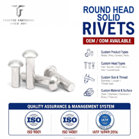TianFang Rivets Pleins Tête Ronde de Précision | Acier Inoxydable Poli | Fixations Structurelles Certifiées IATF16949