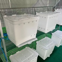 Günstigste kommerzielle Indoor-Kaninchen käfige 9 Zellen Mutter Kaninchen mit hängenden 3/6 Baby Nest Box