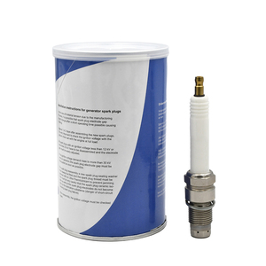 Nueva Bujía de Iridio Ahorradora de Energía y Antienvejecimiento R6B12-77M para Generador de Gas de Vertedero MTU 12V4000GS - Product Image 3