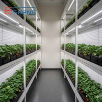Cámara de Cultivo Climatizada Phytotron con Iluminación Avanzada para Estantes de Cultivo y Diseño de Ahorro Energético - Fabricante