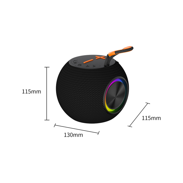 ZB255 Beast Mini Karaoke Speaker RGB LED Waterproof Plastic Battery Powered V5.2 Remote Control 5-10W Output Radio AUX