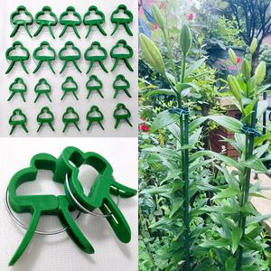 Serre en plastique jardin plante support clips branche <span class=keywords><strong>vigne</strong></span> titulaire Légumes Tomate Clip Greffage Clip - Product Image 5