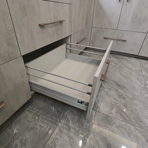 AODELI ADL-13 Silent Soft Close 199mm Height Steel Box <b>Slide</b> Smooth Closing Mechanism 31-50kg Load Capacity Modern Design <b>Drawer</b> - Product Image 1