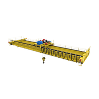 Grue métallurgique à double poutre Wanlong de 10 tonnes, commande PLC, moteur, portée de 31,5 m, puissance de 47,7 kW, hauteur de levage de 20 m