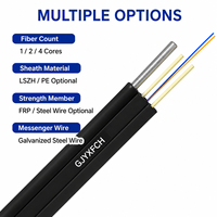 Stok Tersedia GJYXFCH Kabel Drop Outdoor Self-Supporting 2 Core SM G657A2 PE Kabel Serat Optik dengan Steel Messenger Express