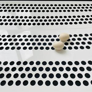 Trang trại nông nghiệp PP gia cầm băng tải Đai băng tải Polypropylen cho hệ thống loại bỏ Phân Gà vành đai trứng 7 - Product Image 3