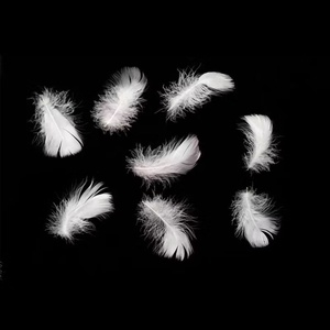 Chất Lượng Cao Cấp Lông Và Xuống Rds Giấy Chứng Nhận 100% Trắng Rửa Sạch Vịt Lông <span class=keywords><strong>2</strong></span>-<span class=keywords><strong>4Cm</strong></span> Cho Gối, Duvet - Product Image 5