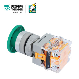 Interrupteur à bouton poussoir Tengen Mushroom Head 78mm Vert à réinitialisation automatique avec fonction de protection IP40 - Product Image 3
