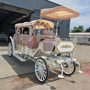Carruaje de Boda en Oferta, Estilo Europeo, Carruaje de Flores Personalizado, Recogida en Hotel, Carruaje Eléctrico - Product Image 2