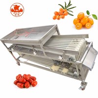 Machine de tri du poids des fruits, machine de tri du poids des bleuets et des dattes
