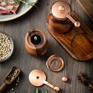 Moulin à poivre manuel en bois massif, broyeur de sel de mer et de poivre noir, pour cuisine domestique - Product Image 4