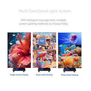 Il contrassegno digitale <span class=keywords><strong>LCD</strong></span> da pavimento mostra il lettore di video pubblicitari del negozio al dettaglio del <span class=keywords><strong>Pixel</strong></span> Pitch - Product Image 5