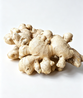 Gingembre blanc frais de qualité supérieure, gingembre chinois en racine, 25 kg, norme d'exportation pour l'assaisonnement alimentaire, par Xinyouju