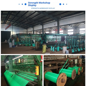 Đồ Nội Thất Sân Vườn An Toàn Net HDPE Chất Liệu Dễ Dàng Lắp Ráp Tốt Lưới 2000 Lưới Màu Xanh Lá Cây Net Bán Buôn - Product Image 6