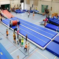 Tapis de gymnastique gonflable de qualité supérieure pour la pratique du taekwondo, surface antidérapante, résistant à l'usure, stable pour les mouvements de grande hauteur.